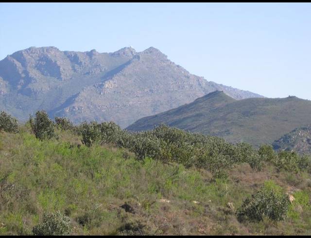 LAND FOR SALE IN PIKETBERG RURAL